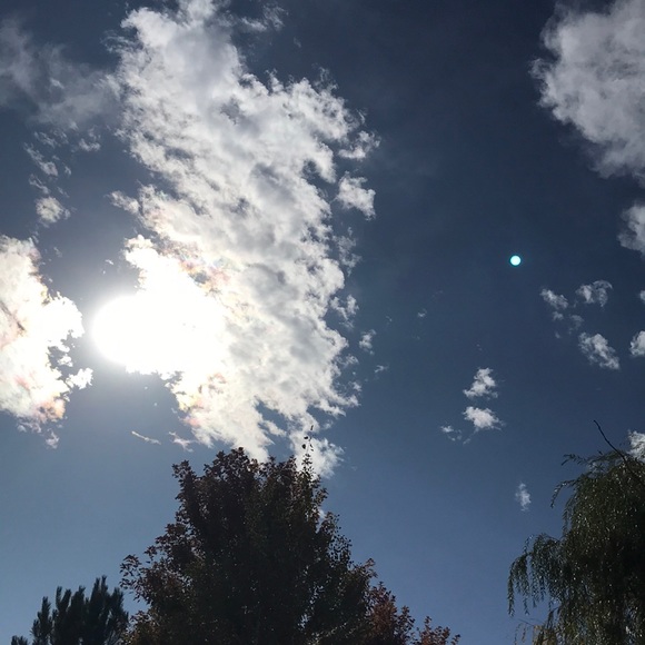 Meet your Posher, Sheila - Picture 1 of 1